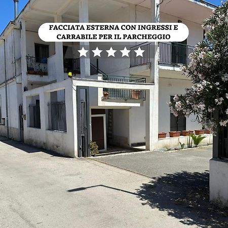 Grancomfort Tra Napoli E Caserta 卡斯特沃托诺 外观 照片